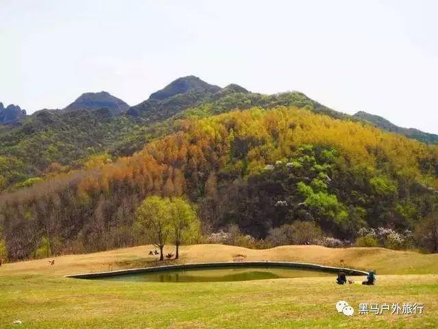 探索知识星球平台|深灰色上衣与白色包臀裙的组合,尽显潮流女神范,你觉得怎么样?知识分享社区